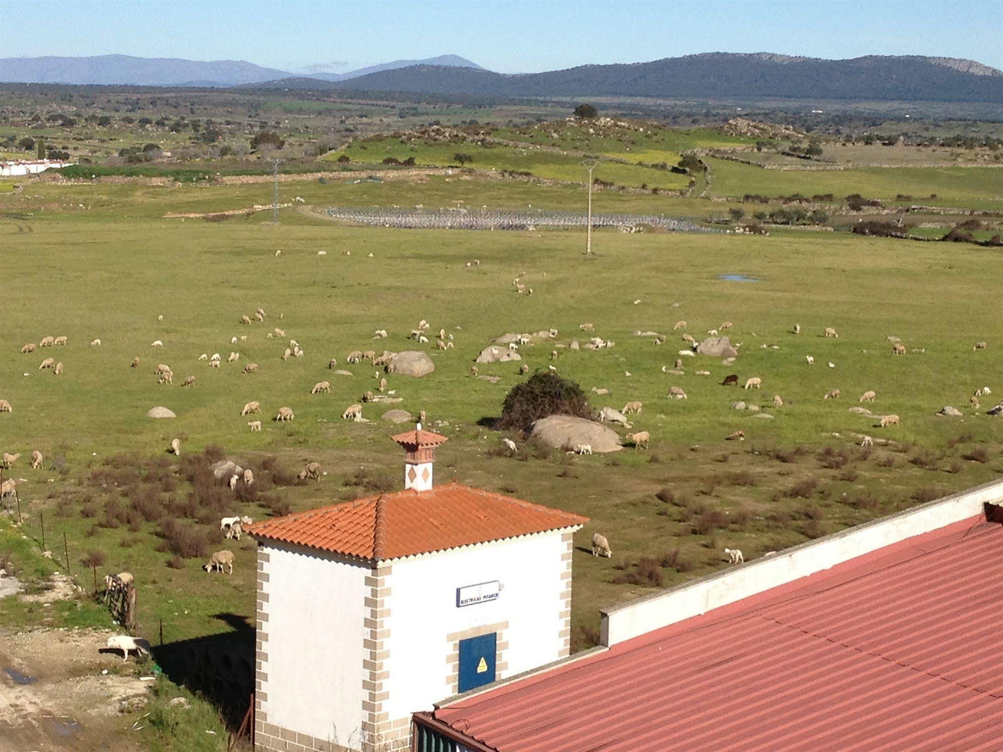 Complejo Penafiel Appartamento Zarza La Mayor